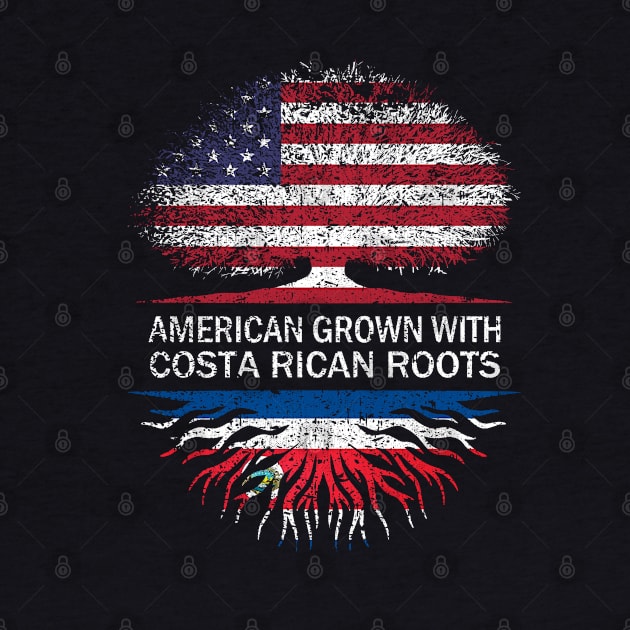 American Grown with Costa Rican Roots USA Flag by silvercoin